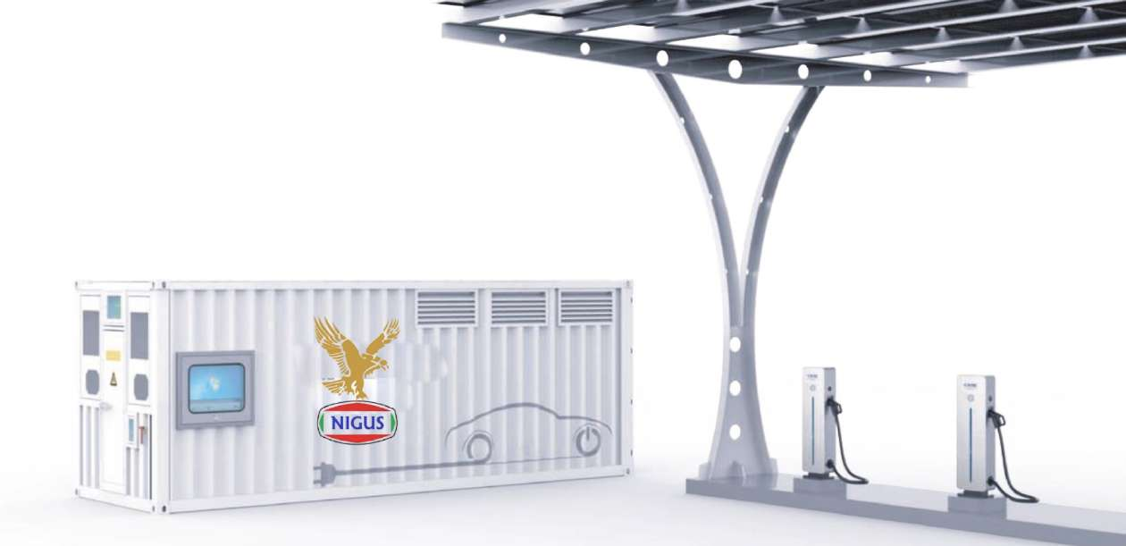 Nigus EV Charging Station