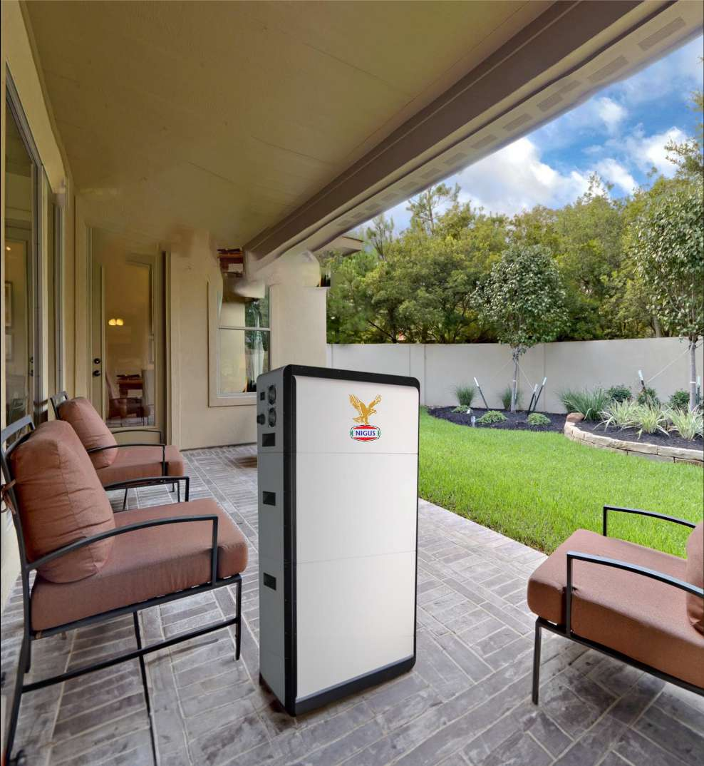 Nigus Household Storage System