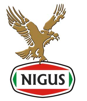 Nigus International